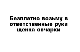 Безплатно возьму в ответственные руки щенка овчарки